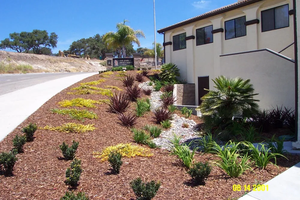 Trusted yard maintenance in San Luis Obispo, CA - Rainscape