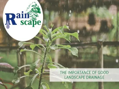 Trusted residential landscaping with custom design in Visalia, CA by Rainscape