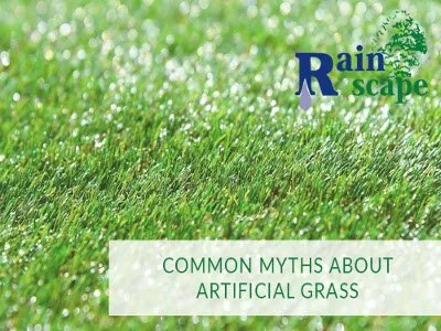 Professional lawn mowing service in Visalia, CA - Rainscape