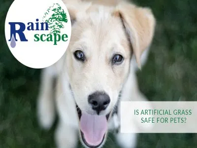 Reliable lawn mowing service in Visalia, CA - Rainscape