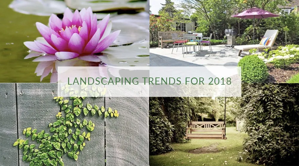 Professional lawn care service experts serving Visalia, CA - Rainscape