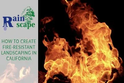 Affordable landscape design in Visalia, CA by Rainscape