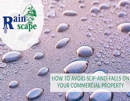 Expert landscape installation experts serving Visalia, CA - Rainscape