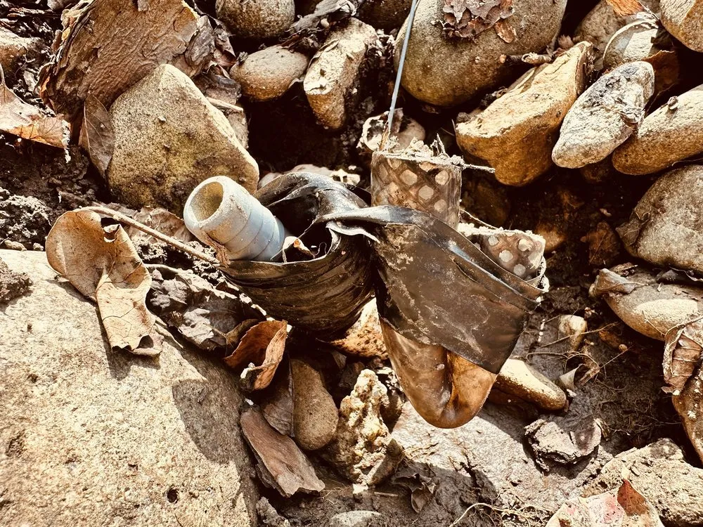 Custom landscaping services experts serving Louisville, TN - Rainscapes