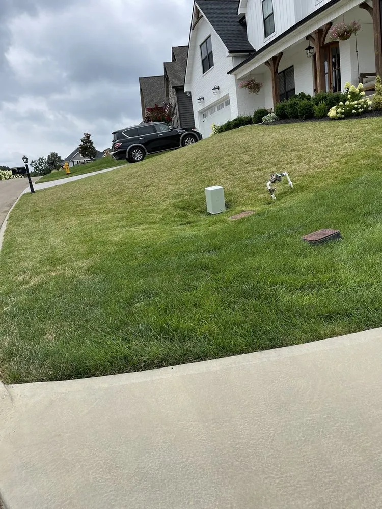 Custom yard cleanup service in Louisville, TN - Rainscapes