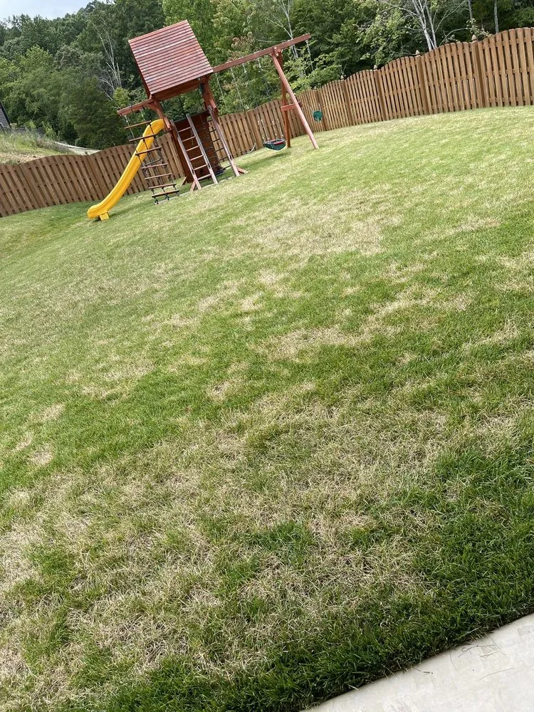 Local garden landscaping for year-round maintenance across Louisville, TN - Rainscapes