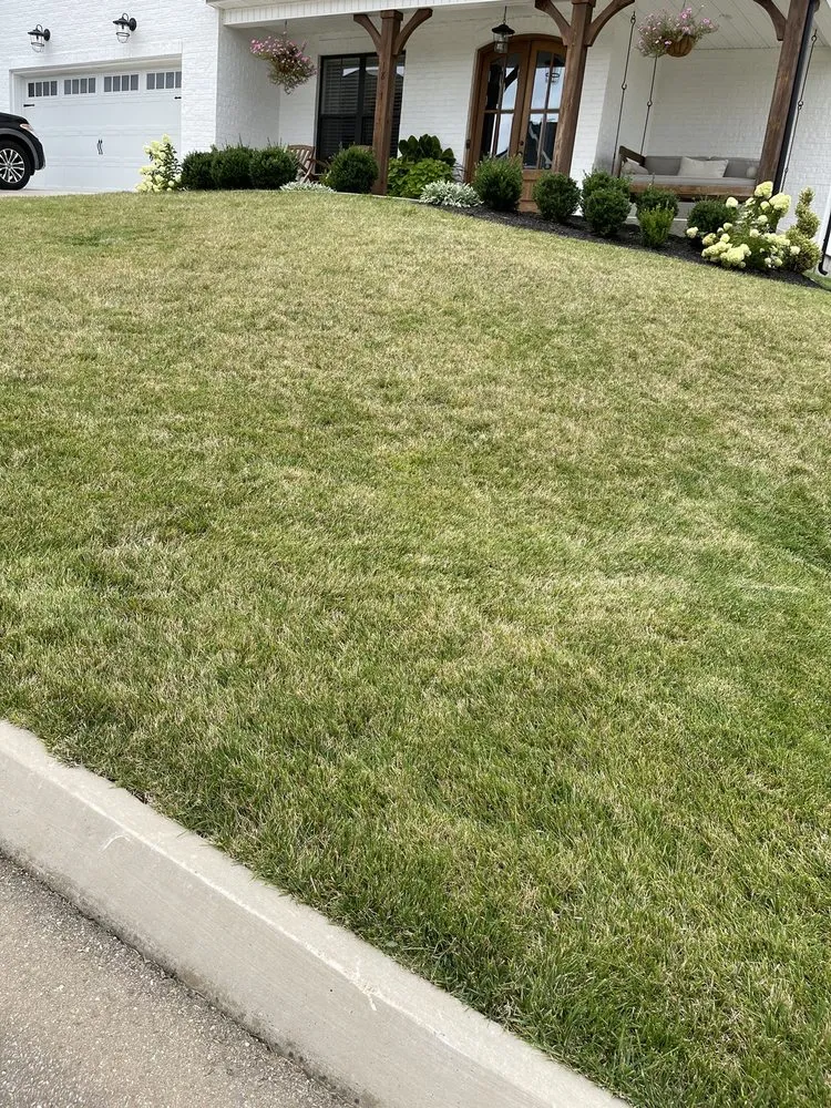 Professional landscape installation for outdoor upgrades across Louisville, TN - Rainscapes