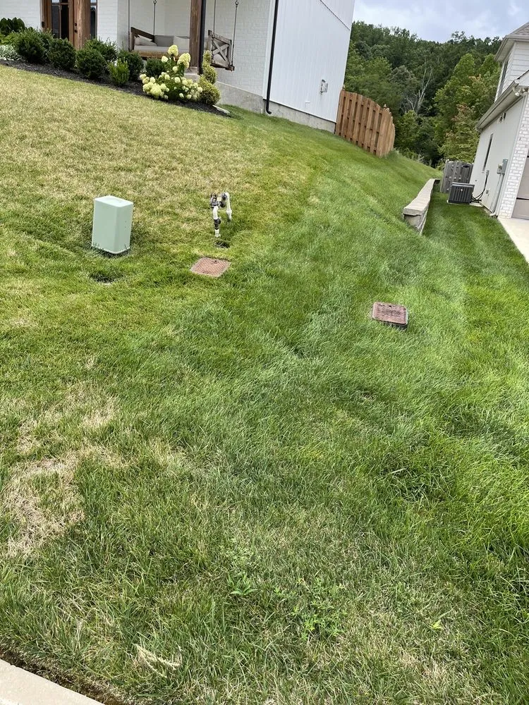 Local yard maintenance for beautiful yards across Louisville, TN - Rainscapes