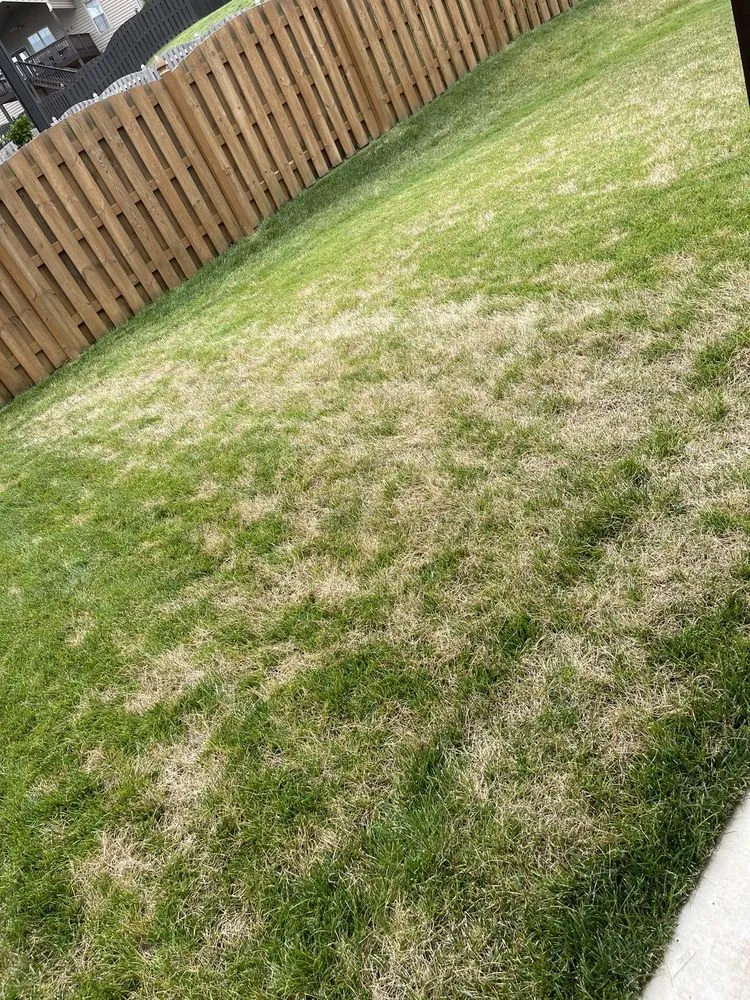 Top-rated landscape installation in Louisville, TN by Rainscapes