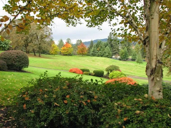 Custom lawn mowing service experts serving Corvallis, OR - Rainsweet Landscape Services