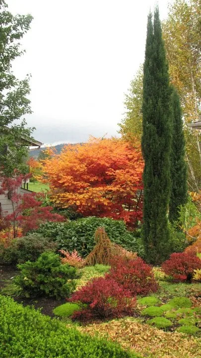 Reliable lawn mowing service for outdoor upgrades in Corvallis, OR by Rainsweet Landscape Services