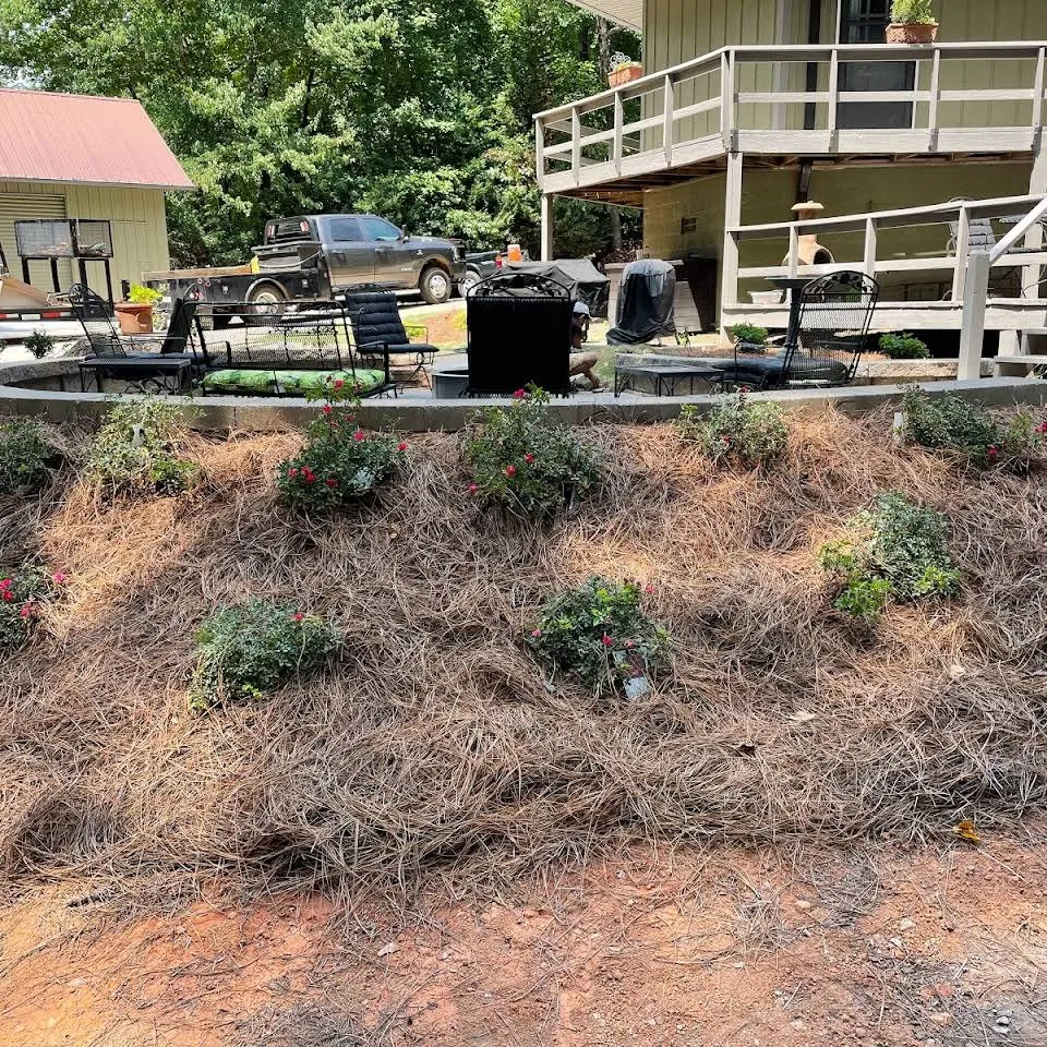 Reliable yard cleanup service near you in Hartwell, GA by Raintree Landscape
