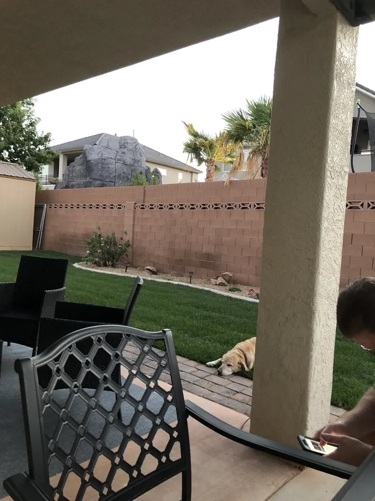 Affordable garden landscaping in Saint George, UT by Raintree Landscaping