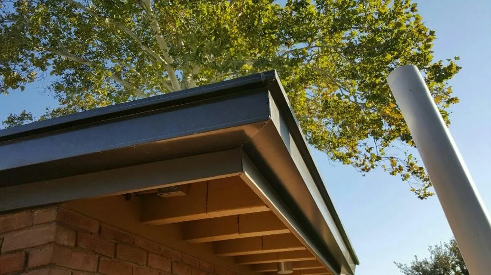 Professional yard cleanup service for year-round maintenance across Austin, TX - Raintree Seamless Gutters