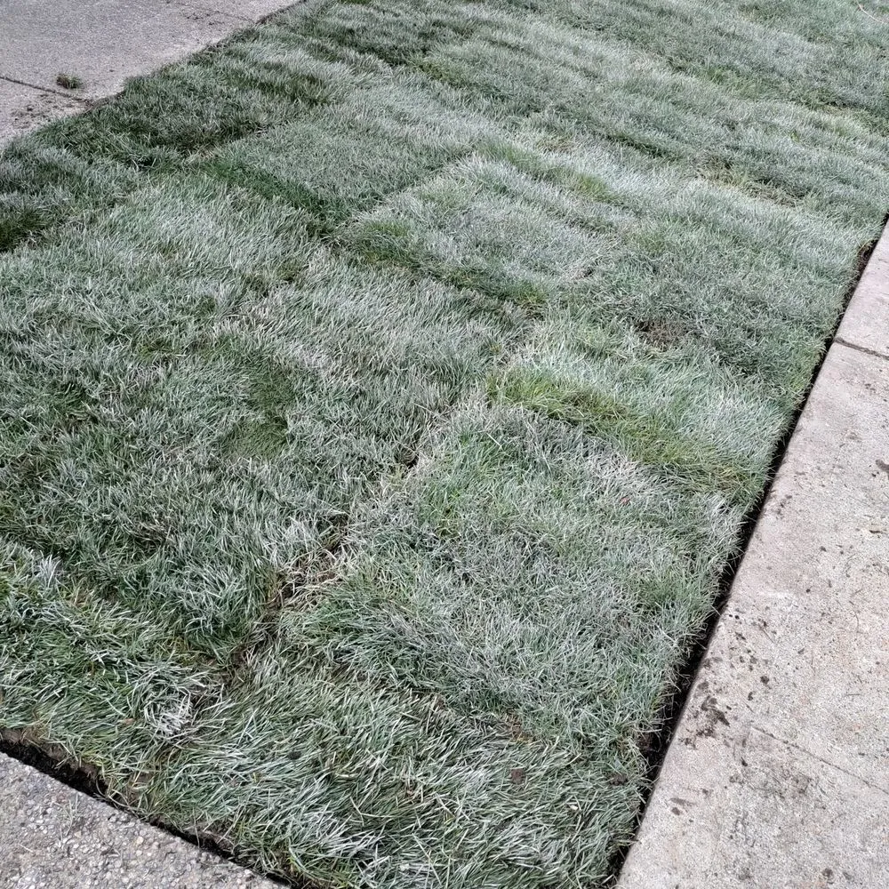 Expert landscaping services experts serving Federal Way, WA - Rainwater Landscapes