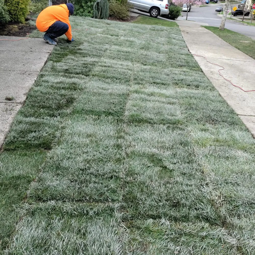 Professional lawn mowing service experts serving Federal Way, WA - Rainwater Landscapes