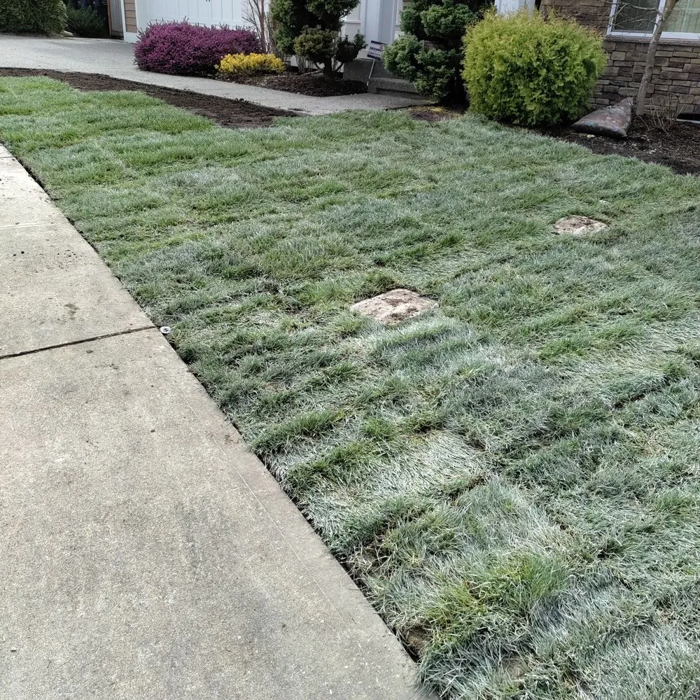 Professional garden landscaping for year-round maintenance across Federal Way, WA - Rainwater Landscapes