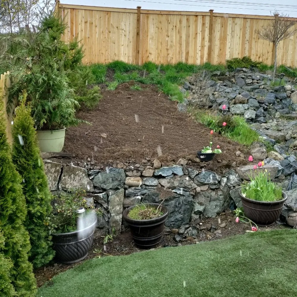 Reliable landscaping services in Federal Way, WA by Rainwater Landscapes