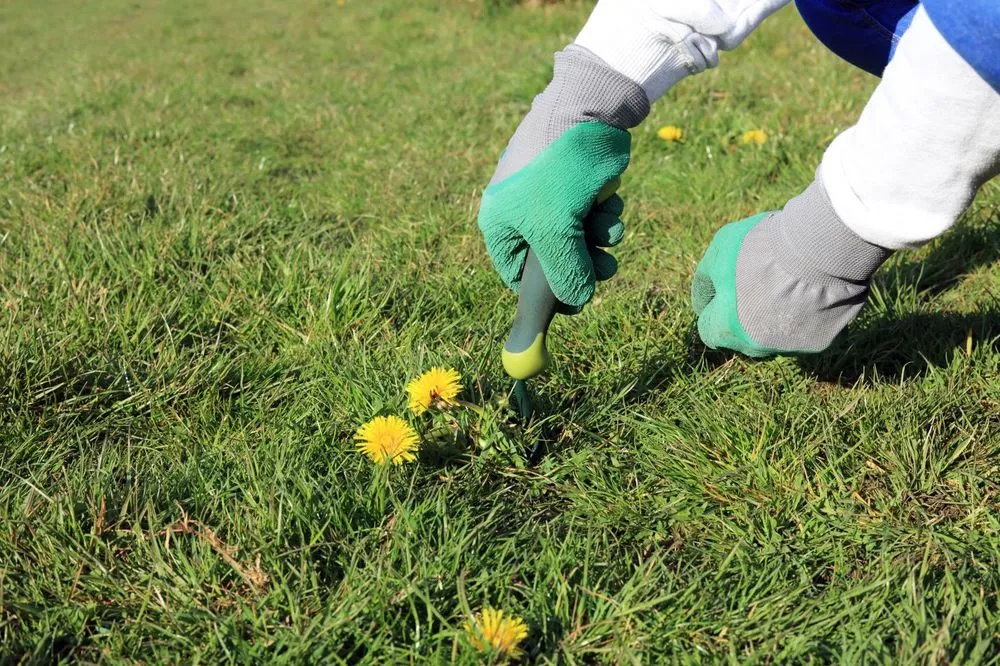 Reliable outdoor landscaping experts serving Tacoma, WA - Rainy City Home Services