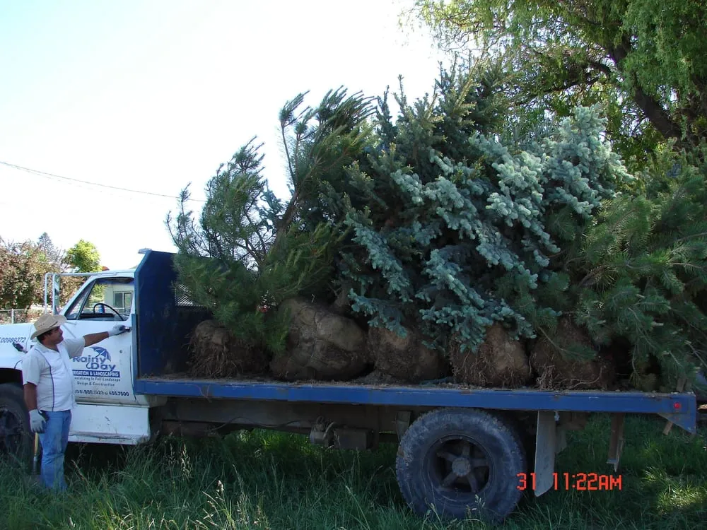 Trusted landscaping services for beautiful yards across Caldwell, ID - Rainy Day