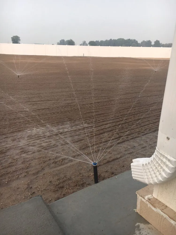 Expert yard cleanup service in Caldwell, ID by Rainy Day