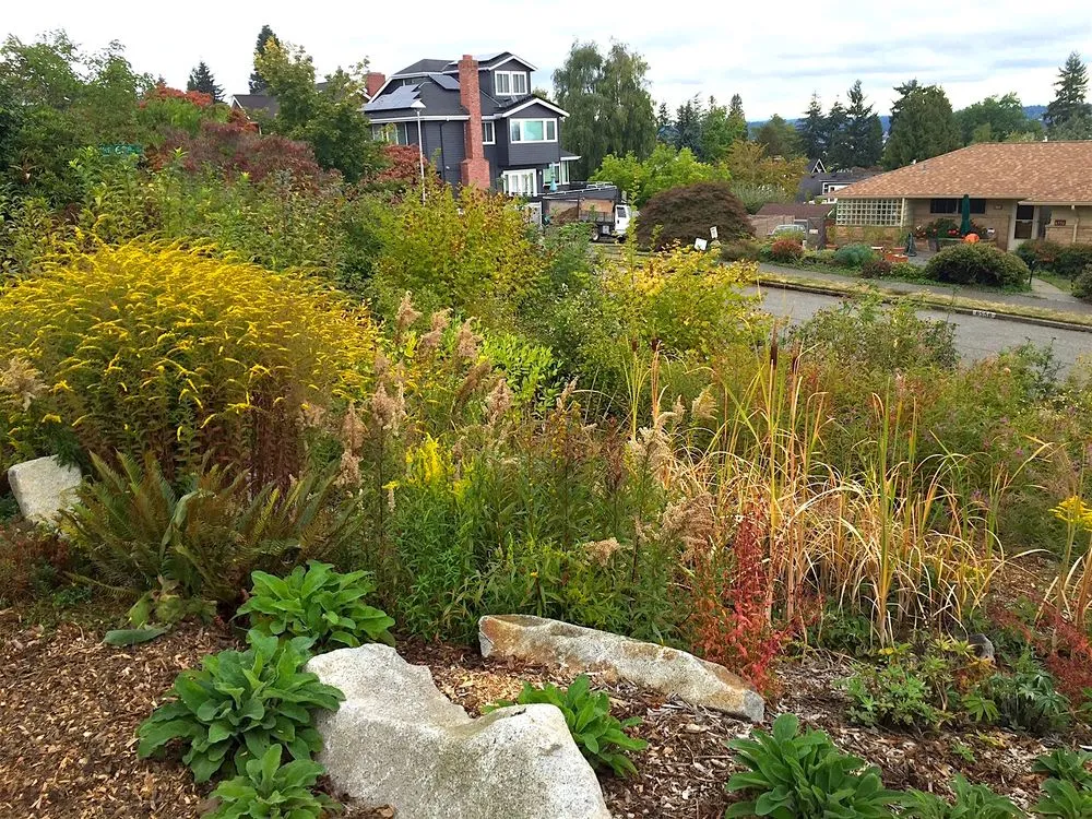 Local outdoor landscaping for year-round maintenance in Mountlake Terrace, WA by Rainy Day Flora