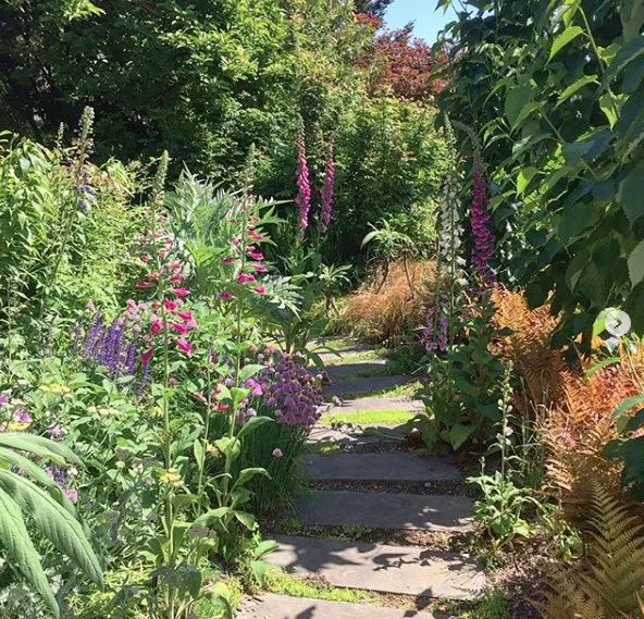 Trusted yard cleanup service in Mountlake Terrace, WA - Rainy Day Flora