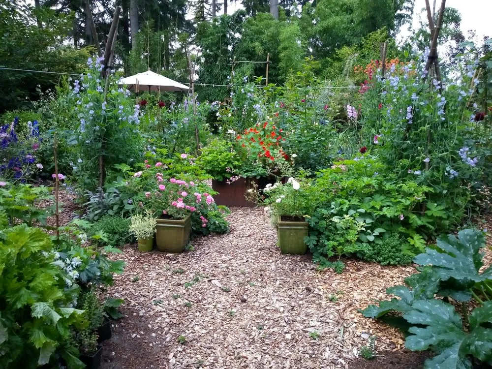Top-rated landscape installation in Mountlake Terrace, WA by Rainy Day Flora