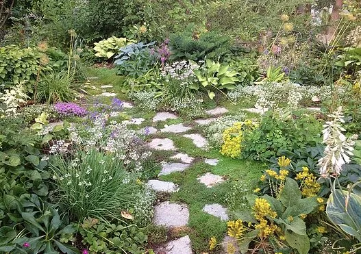 Reliable lawn care service in Mountlake Terrace, WA by Rainy Day Flora