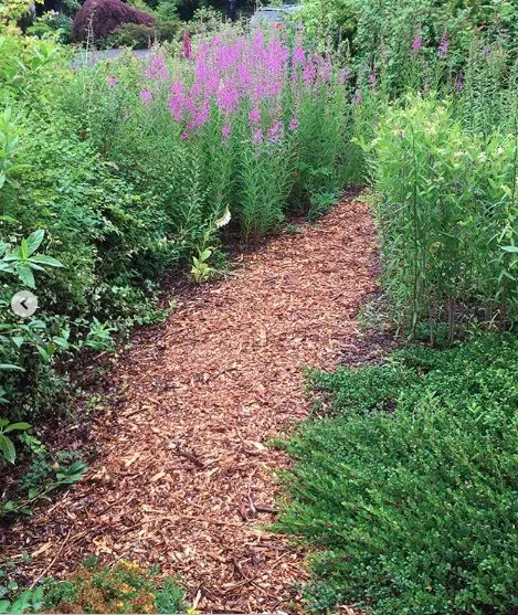 Top-rated yard maintenance experts serving Mountlake Terrace, WA - Rainy Day Flora