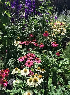 Custom lawn care service experts serving Mountlake Terrace, WA - Rainy Day Flora