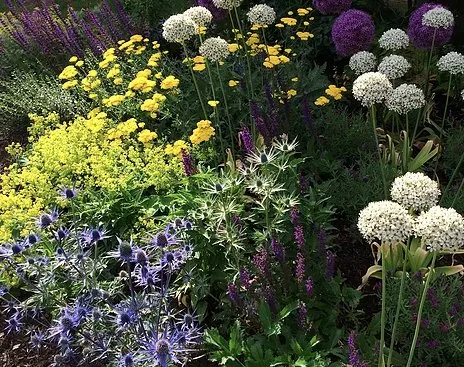 Top-rated lawn mowing service in Mountlake Terrace, WA by Rainy Day Flora