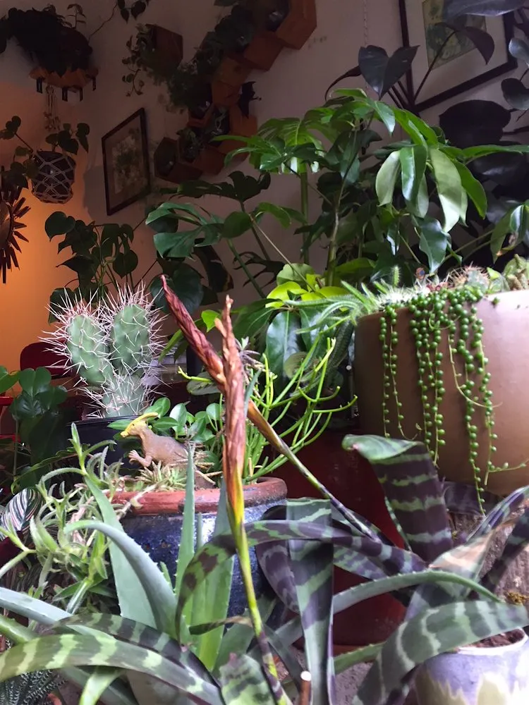 Reliable lawn care service in Mountlake Terrace, WA - Rainy Day Flora