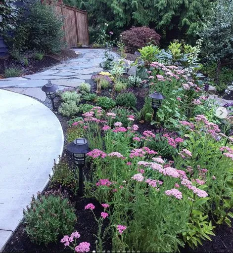 Professional lawn care service in Mountlake Terrace, WA by Rainy Day Flora