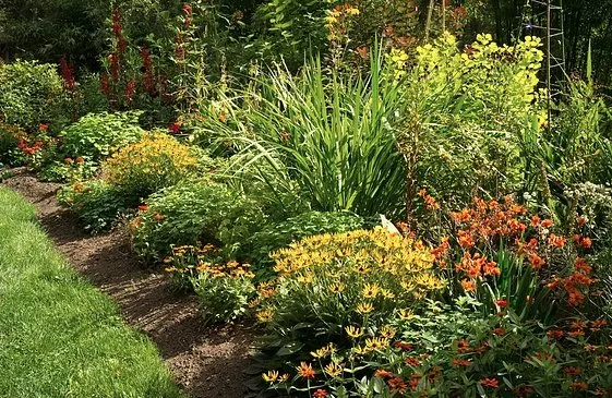 Custom landscape installation near you in Mountlake Terrace, WA by Rainy Day Flora