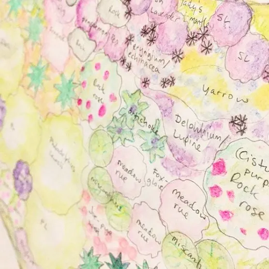 Professional outdoor landscaping for residential properties in Mountlake Terrace, WA by Rainy Day Flora