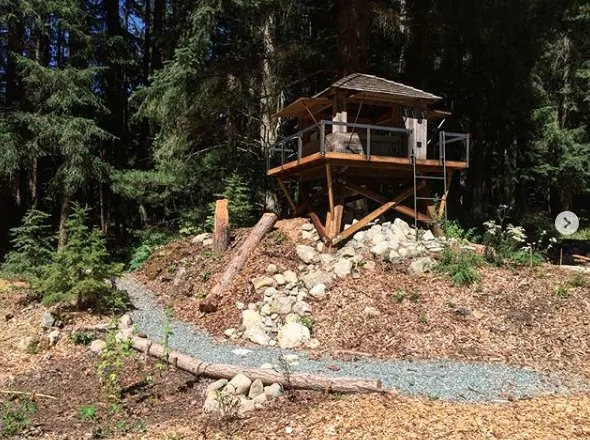 Custom outdoor landscaping in Mountlake Terrace, WA - Rainy Day Flora