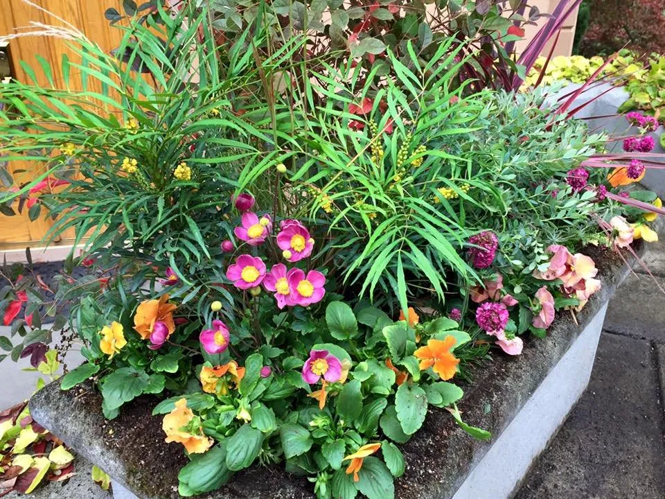 Professional garden landscaping in Mountlake Terrace, WA by Rainy Day Flora