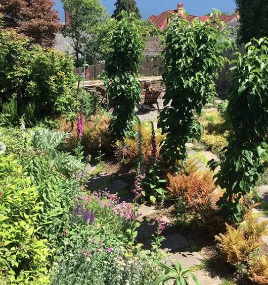 Custom yard maintenance near you in Mountlake Terrace, WA by Rainy Day Flora