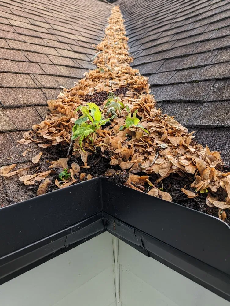 Trusted residential landscaping for residential properties across Saginaw, MI - Rainy Dayz Lawncare