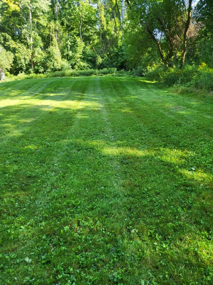 Trusted landscape installation experts serving Saginaw, MI - Rainy Dayz Lawncare
