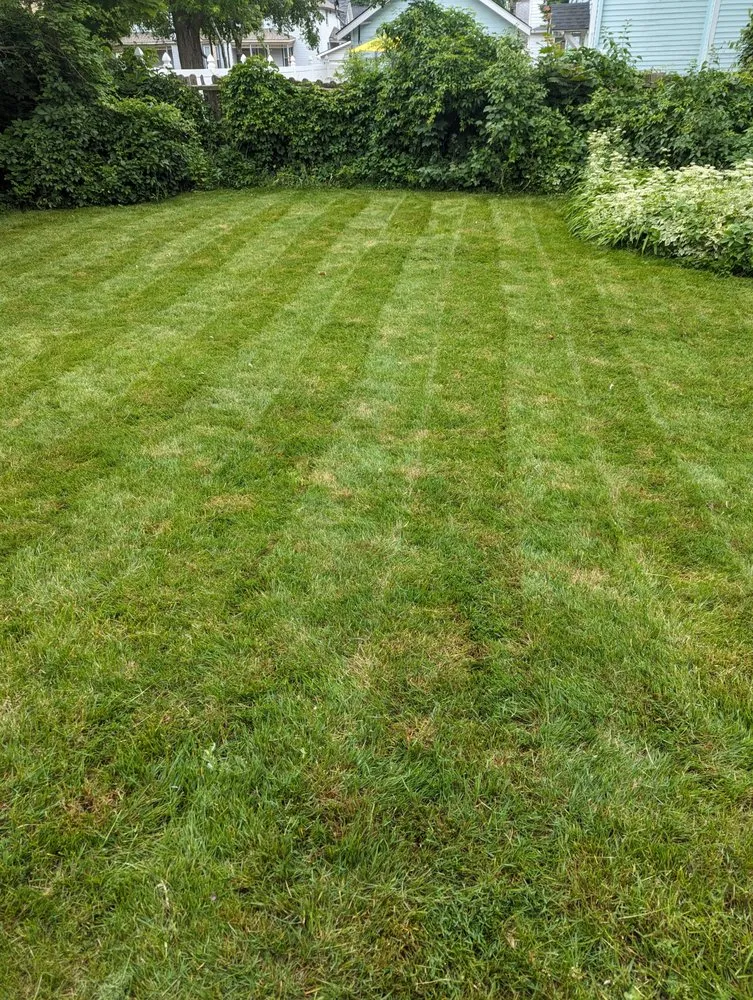 Local residential landscaping experts serving Saginaw, MI - Rainy Dayz Lawncare