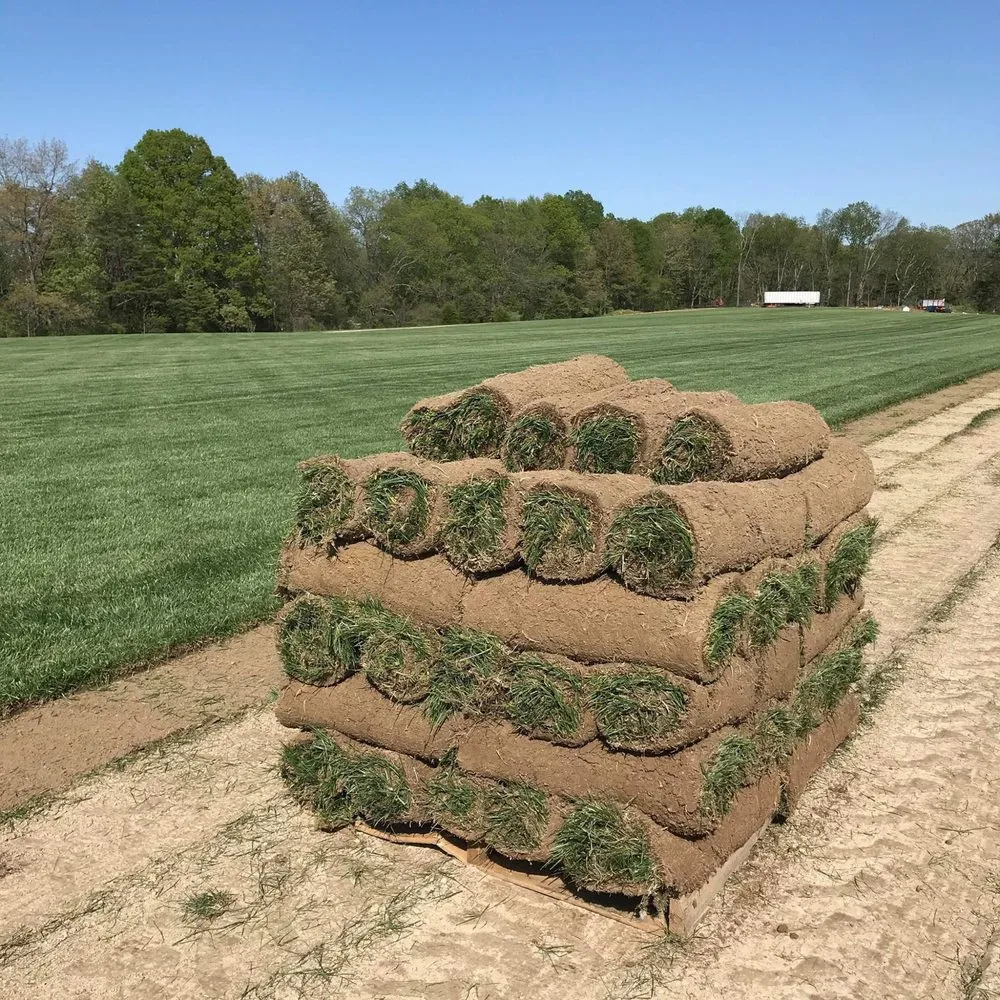 Reliable landscape installation in Tulsa, OK - Raising Blades Sod