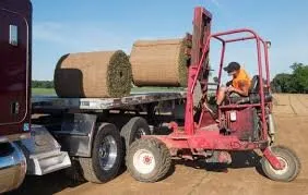 Custom landscaping services for residential properties in Tulsa, OK by Raising Blades Sod