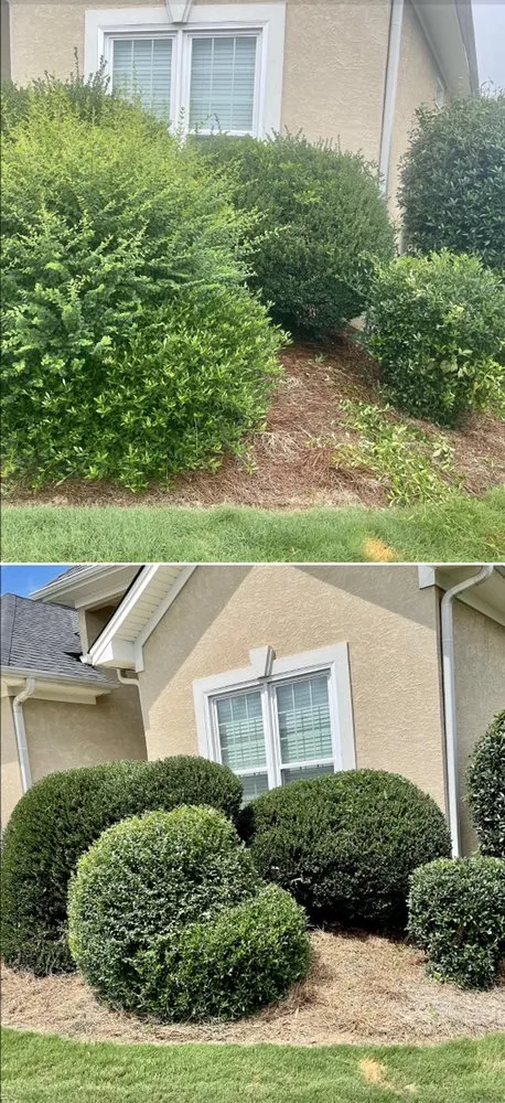 Affordable landscape design with custom design across McDonough, GA - Raising Hope