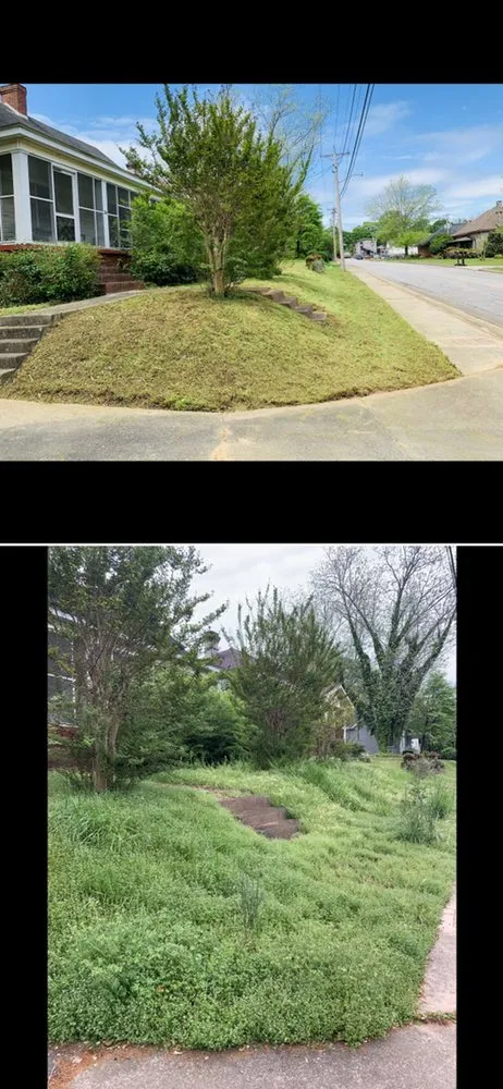 Local landscaping services experts serving McDonough, GA - Raising Hope