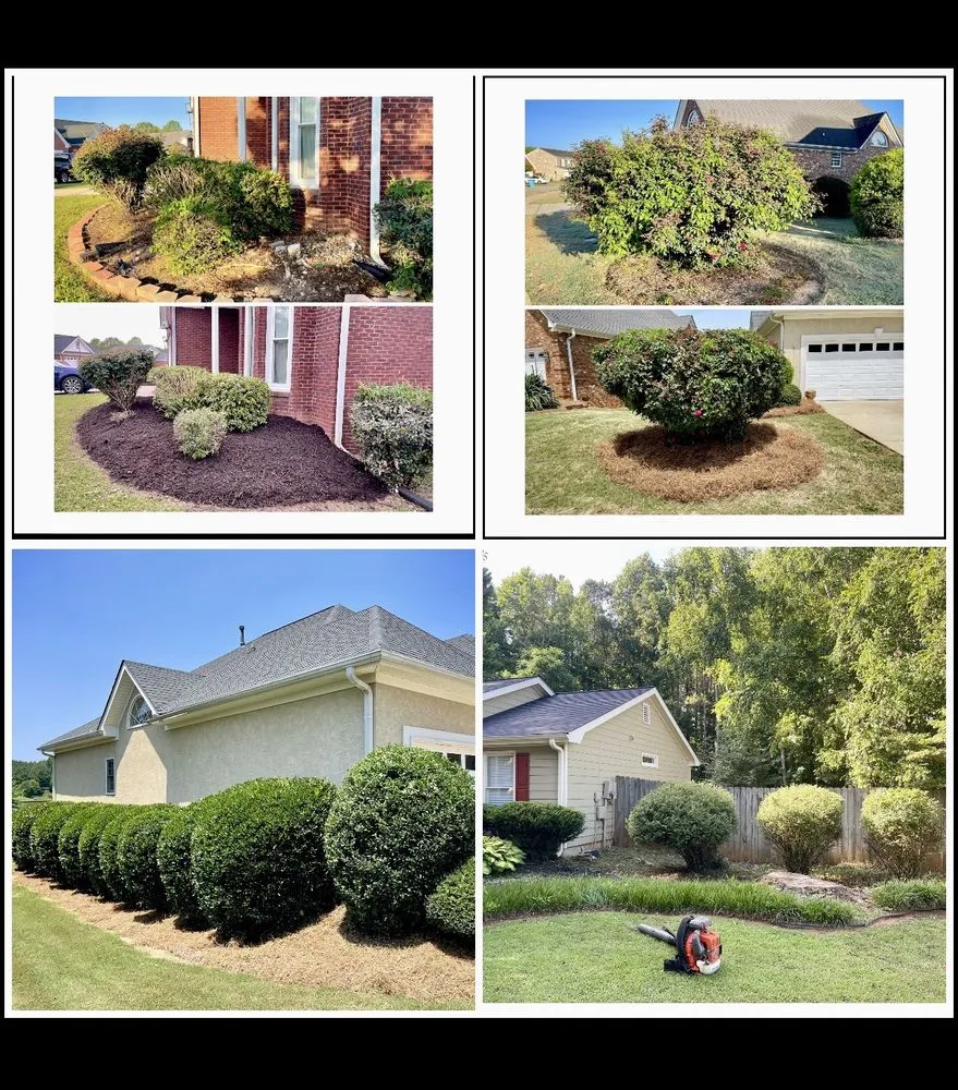 Professional lawn mowing service near you across McDonough, GA - Raising Hope