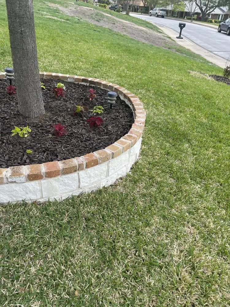 Affordable yard cleanup service for homes across Dallas, TX - Raj Home Services