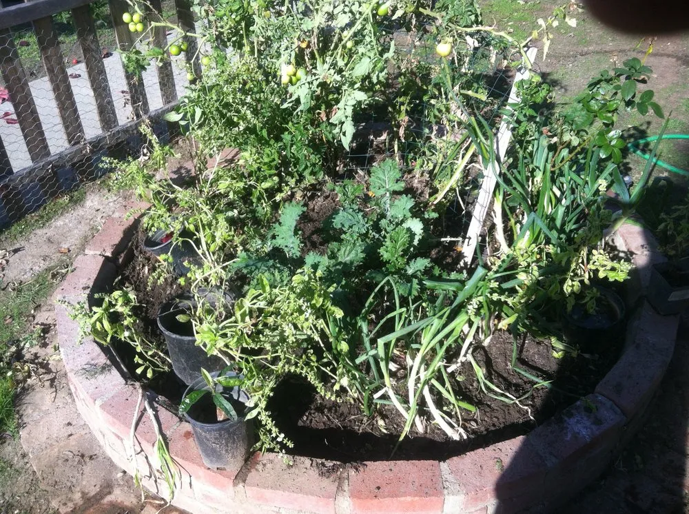 Top-rated landscape installation in Santa Clara, UT by Rake and Shovel Co