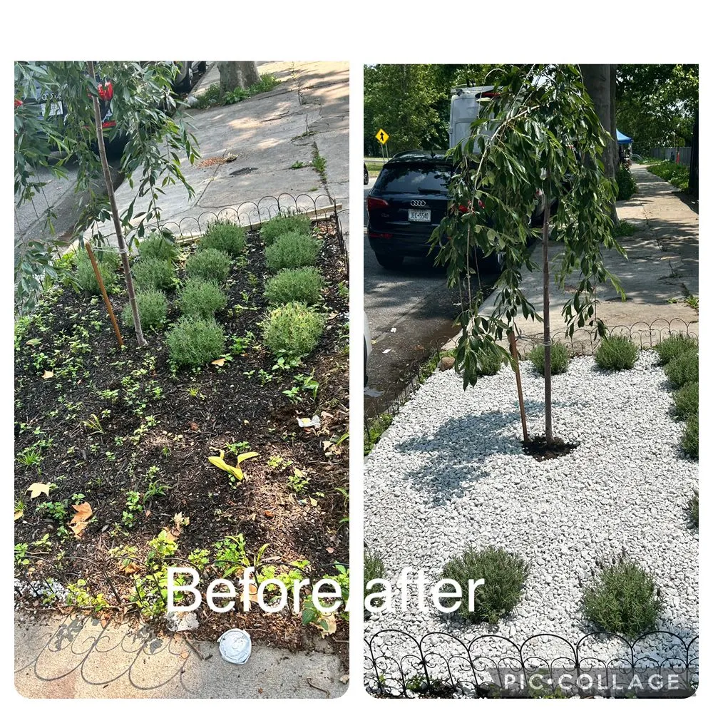 Reliable landscape installation for residential properties across New York, NY - Rakh Corporation